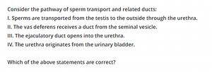 Consider the pathway of sperm transport and related ducts:I. ... | Filo