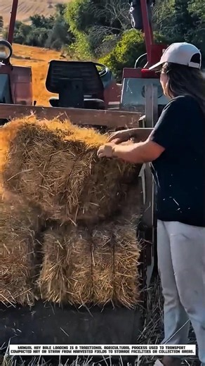 How Farmers Load and Stack Hay Bales by Hand!