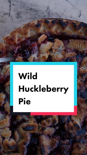 How to Make Wild Huckleberry Pie from Scratch