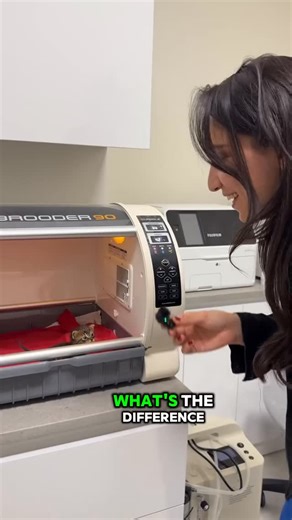 Economics Help for High School & IB on Instagram: "Interventionist & market based supply side policies explained! 😃 Does it make sense now? #economics #economy #ibeconomics #economicstudent #ibdp #economistsofinstagram #macroeconomics #economicsmemes"