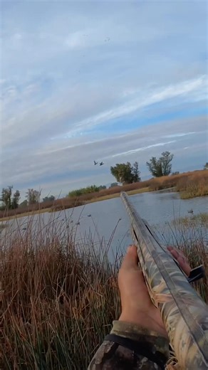 Hard to pick my favorite between these two doubles ? #duckhunting #hunting #duck ‪@bossshotshells‬