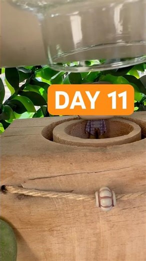 Day 11 | Harry Potter Funko Advent Calendar