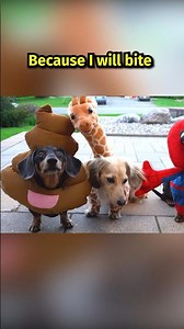 Give treats or we will bite! 😬