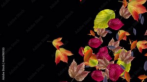 Colorful Fall Leaves - Various Forest Trees - Windy Transition - Realistic 3D Transition animation with alpha channel on transparent background