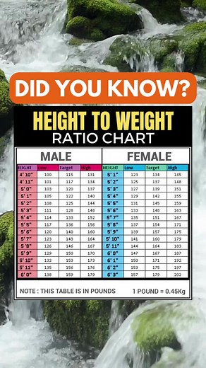 Height to weight ratio chart #height #weight #male #female #health #fypシ