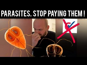 Checkatrade are c%#t's