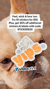 Vibrant colors. Sharp details. Durable finishes. It’s no wonder our sticker singles are fan favorites. Try them for yourself! | VistaPrint