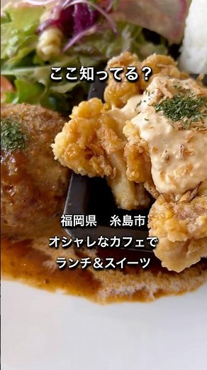 【福岡県糸島市】デートにオススメ！カフェランチ #福岡グルメ #ランチ #デート #おすすめ #カップル #カフェ #オシャレ #パスタ #ハンバーグ #グルメ #福岡県 #糸島市 #shorts