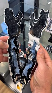 6.9M views · 117K reactions | We have been on  with the fossil coral discoveries lately. Maybe it’s the @diveblu3 system making it easier to scout or just some good luck hunting with @coralgeodes no matter I’ll take it! Saw is by @hitechdiamond Check out this stud #fossil #minerals from #florida we #scuba for #geode #dinosaur | Dig Dive Discover | Facebook