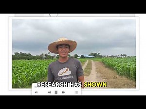 Community Problem and its Solution: A video essay