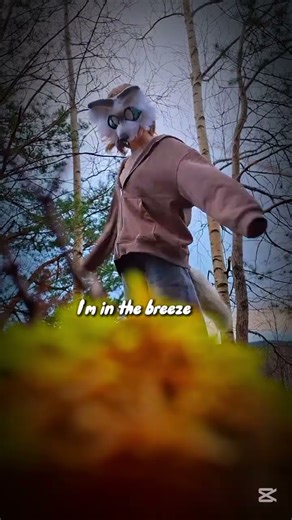 i still fw this song🥹 || #fyp #quadrobics #furry #therian #viral #cringe ||