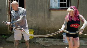 Watch Snakes In The City S7 Episode 1 on JioHotstar