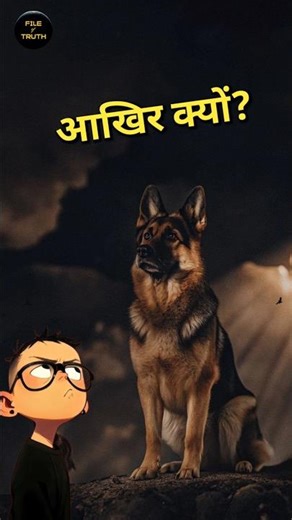 Why does the Dog lick the Palm? #shorts #dog #youtubeshorts ‪@fileoftruth‬