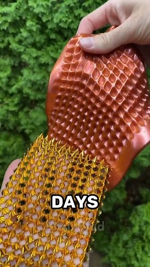 2.8K views · 49 reactions | Random Facts To SHOCK You #randomfacts #factsyoudidntknow #curiosity #facts #curiosities #psychology | Random Facts | Facebook