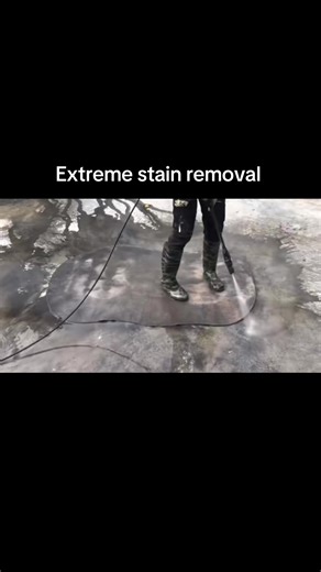 Polyester Rug Cleaning: Extreme Stain Removal