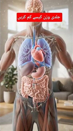 What Happens Inside Your Body When You Exercise? 😱