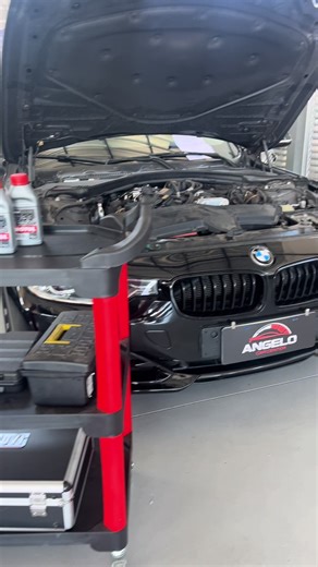 BMW 328i Fazendo troca de disco de freio & óleo filtros dot 4 motul etc #oficina #carros #gearhead #foryou #bmw