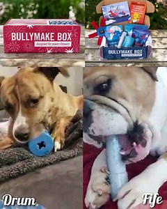 Is your dog a DESTROYER of toys? 🤔 Join today and grab our limited JULY BOX! Doesn't matter what size, shape, or preferences your POWER CHEWER has. We cater to it. We'll send you the TOUGHEST USA made toys and treats. Just what your doggo deserves - the highest quality. ❤️ Everything shipped is durability GUARANTEED! | BULLYMAKE