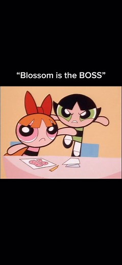 Blossom: The Powerpuff Girls' Fierce Leader
