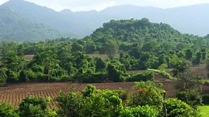Time lapse of deforestation