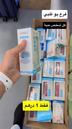 Exploring Al Ain: A Gem in the UAE