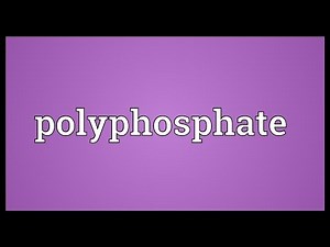 Polyphosphate Meaning