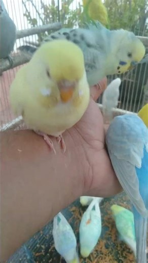 Top 5 Zubehör Tipps, die kaum jemand kennt 🧠