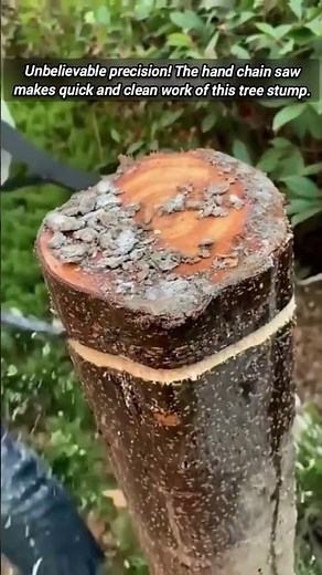 Small Saw, Big Power: Effortless Wood Cutting Demonstration