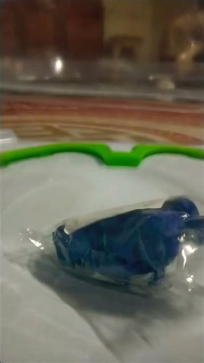 string launcher #beybladex#