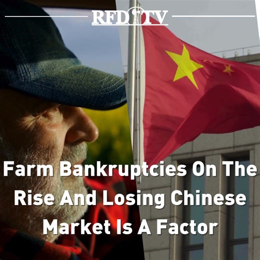 Farm bankruptcies are soaring year-over-year. An ag attorney says that the new data includes some alarming numbers. Joe Peiffer says, "The Administrative Office of the United States Courts points out, in the first six months of 2025, 181 Chapter 12 bankruptcies were filed nationwide. That is up 57% from what it was in 2024. That's more filings than we had in either 2022 or 2023." He says that losing the China ag market is a contributing factor, and it will be hard to correct. | RFD-TV