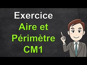 Area and perimeter exercise for 4th grade (CM1) with answer key