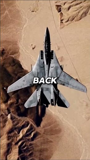 🔺 Why The F-14 Tomcat Changes Shape In Mid-Air 🔺