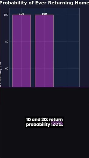 A Drunk Man Always Gets Home. A Bird? Gone Forever. 🎲 #Shorts