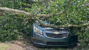 Storms knock down tree, damaging Leesburg homes