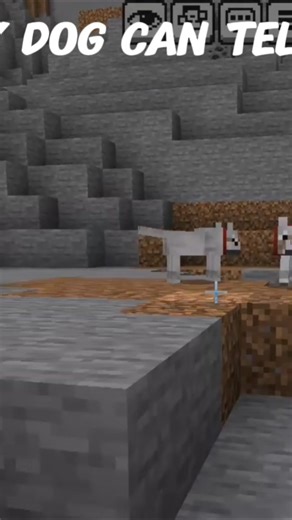 My dog can teleport 😱😱#minecraft #dog #shorts#viral#fyp #foryou #explorepage #gaming