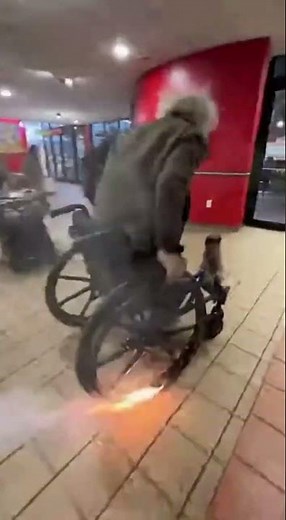 “POV: Einstein proves a theory and steals your food”