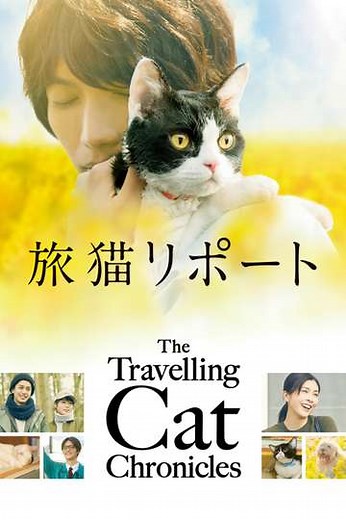 The Travelling Cat Chronicles - Movie