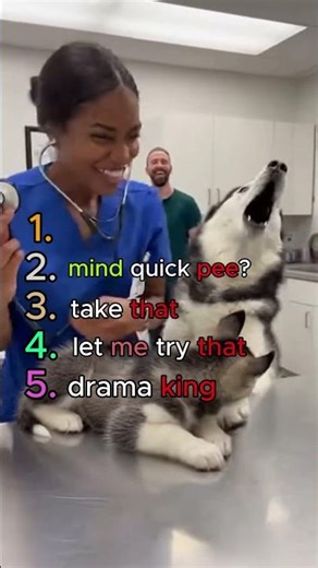 Ranking The Most Dramatic Dogs 😂