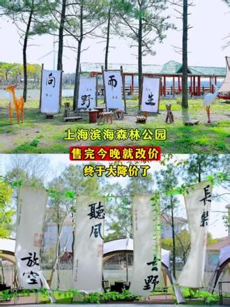 上海滨海森林公园#游玩#游玩推荐#游玩景点推荐 #游玩记 #好玩
