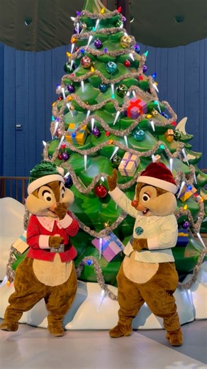 I caught Chip n Dale dancing to the Christmas music today & it was too cute!!! #danimchalloween #DaniMcDLR #ChipNDale #Christmas #Disneyland #disneychristmas | Dani Danger