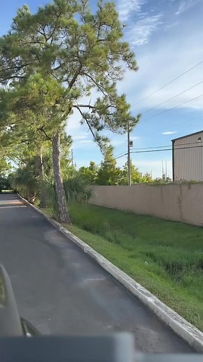 The only thing we’re ditching in 2025 is poor drainage. Over 8 years in the business & 220+ ⭐️⭐️⭐️⭐️⭐️ reviews on Google. What started as just a dream  & a vision at 19 years old has been made possible by all of our customers & all of those who have supported us over the years. Forever grateful DB’s Tree Service - www.dbstreeservice.com 727-612-8515 | DB's Tree Service | Facebook