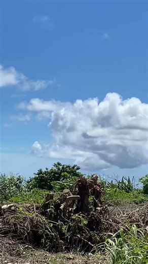 沖永良部島から