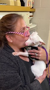 62K views · 12K reactions | What's it like to be the love interest of...