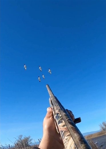Three completely different types of shots ! #duckhunting #goosehunting #waterfowl ‪@bossshotshells‬