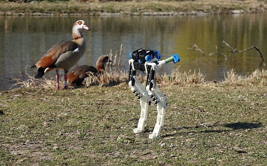 birdbot：一种高效节能的机器人腿｜2022｜Science Robotics【德国马克斯·普朗克研究所】