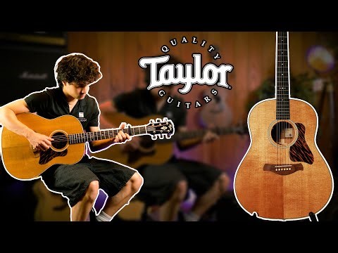 Taylor Gold Label 517e DEMO | Souman Music