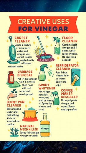 If you think vinegar is just for salads — think again! 🧽 Use it as a: 🧴 Carpet cleaner, grout whitener, garbage deodorizer, and natural weed killer. 🫧 Mix it with water for floors, glass, or even coffee maker cleaning! Cheap, effective, eco-friendly — your new household superhero. 💪 #VinegarHacks #EcoCleaning #HomeTips #DIYHousehold #EverydayGenius #FBLifestyle | Everyday Genius