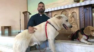 🌟Anche gli animali in chiesa! con Don Cosimo Schena, una brava persona che ama gli animali | La Verità ci Rende Liberi - Advanced Mind