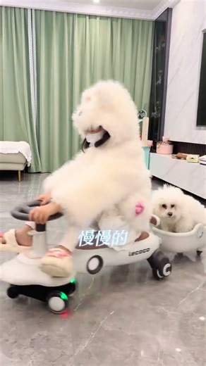 The joy of playing with children is so simple#Cute Pet Debut Plan.#Daily records of cute