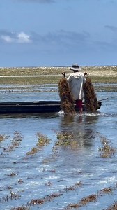 Tawi tawi song PANAMPANGAN. By: Argen Composer: Adun | Kuya Palangga